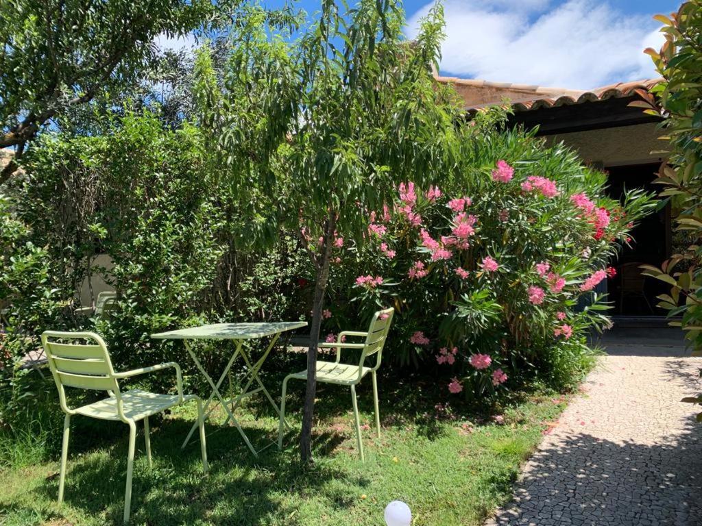 Gite La Loge 142 Route De Carpentras 84210 韦纳斯克 外观 照片